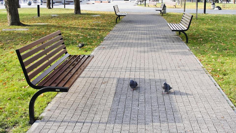 suwałki-rynek-1257811